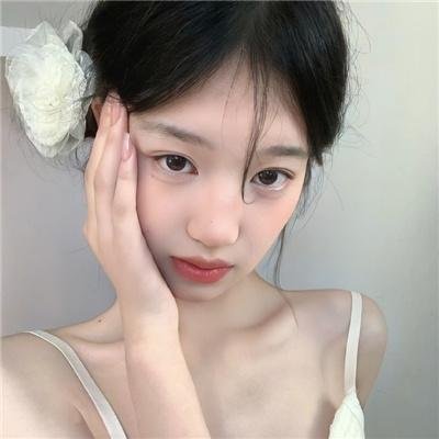 熊猫手札